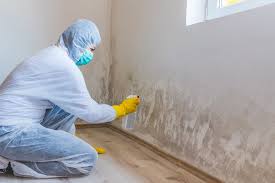 Best Industrial Mold Remediation in Laurel, VA