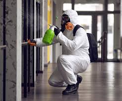 Reliable Laurel, VA Mold Removal Solutions